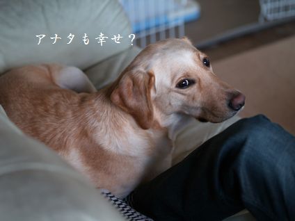 母ちゃんちの晩御飯とどたばた日記
