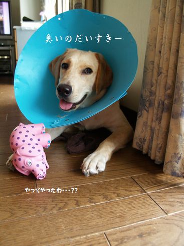 ・・・・・。