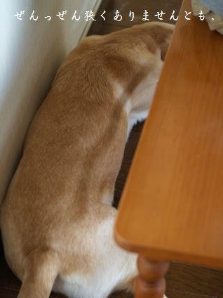 母ちゃんちの晩御飯とどたばた日記