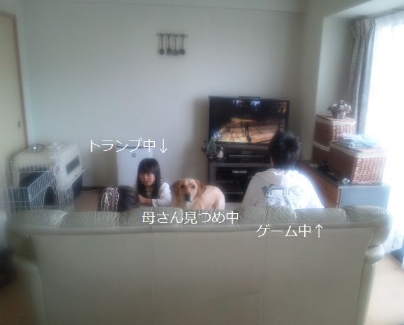 母ちゃんちの晩御飯とどたばた日記