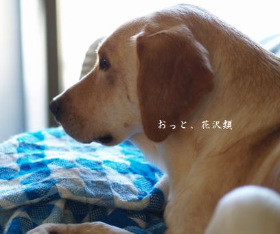 眠い眠い