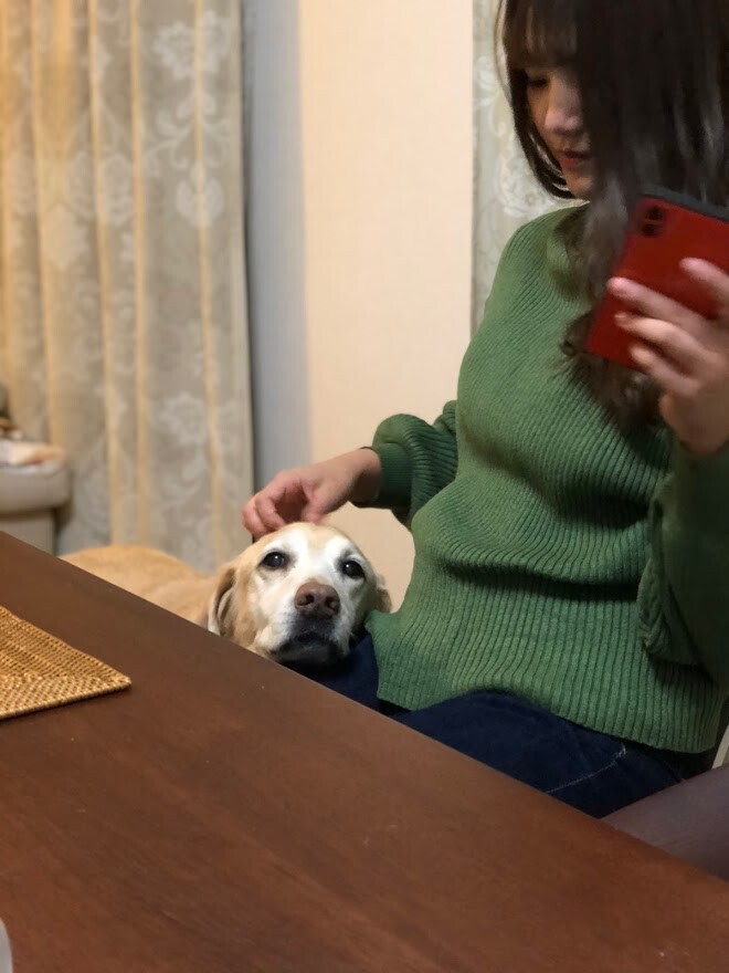 調味料ひとつ ビーフポテト と小皿いっぱい晩ごはん 井上かなえオフィシャルブログ 母ちゃんちの晩御飯とどたばた日記 Powered By ライブドアブログ 調味料ひとつ ビーフポテト と小皿いっぱい晩ごはん 井上かなえオフィシャルブログ 母ちゃんちの晩御飯とどたばた日記 Powered By ライブドアブログ