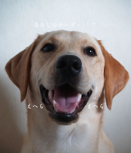 母ちゃんちの晩御飯とどたばた日記-P7315193
