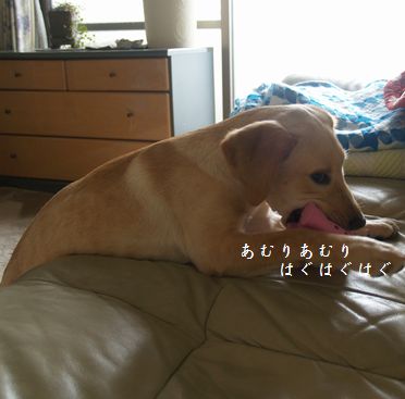 ソファーで
