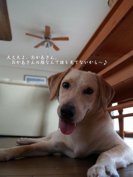 そりゃそうだけどさ