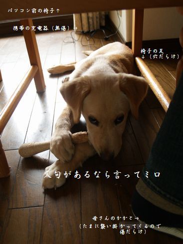 椅子の下