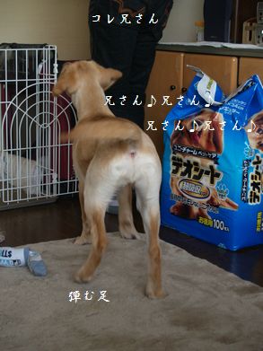 兄さんらぶ