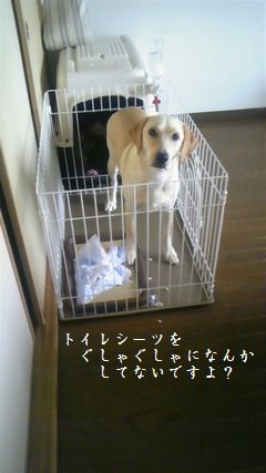 留守中に