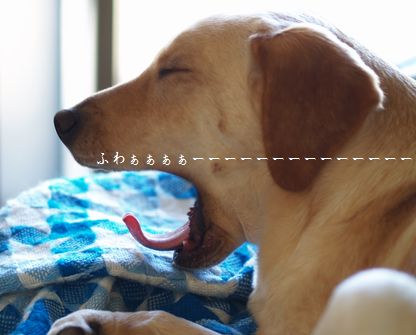 眠い眠い