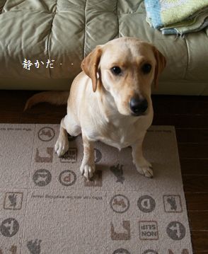 冬休み終了~