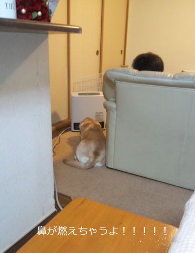 母ちゃんちの晩御飯とどたばた日記