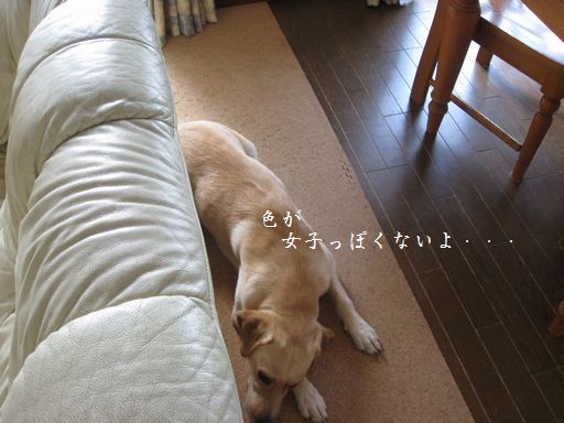 母ちゃんちの晩御飯とどたばた日記-いじけ