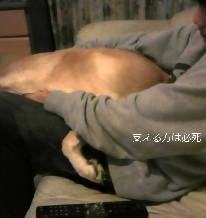 母ちゃんちの晩御飯とどたばた日記