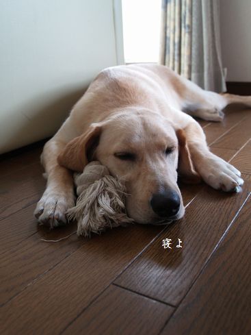 何時でも何処でも