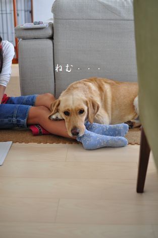 井上かなえオフィシャルブログ　「母ちゃんちの晩御飯とどたばた日記」Powered by Ameba