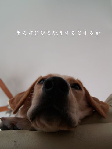 母ちゃんちの晩御飯とどたばた日記-P9025969