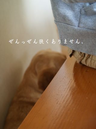 母ちゃんちの晩御飯とどたばた日記