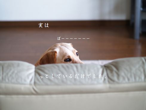 見てなかった