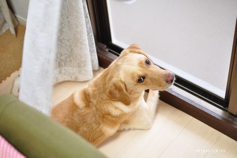 井上かなえオフィシャルブログ　「母ちゃんちの晩御飯とどたばた日記」Powered by Ameba