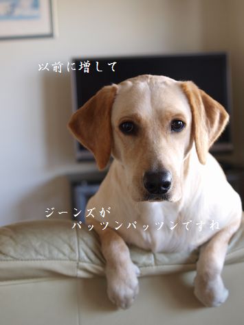 tenkichiのブログ-PC031406