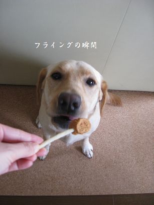 おいしいもの
