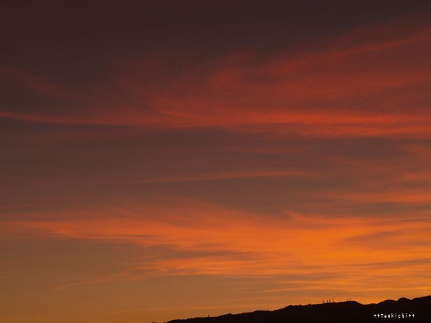 母ちゃんちの晩御飯とどたばた日記