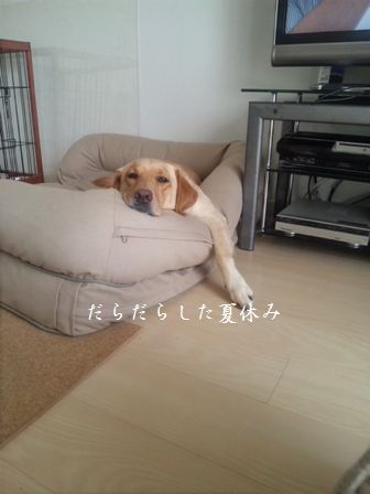 井上かなえオフィシャルブログ 「母ちゃんちの晩御飯とどたばた日記」Powered by Ameba