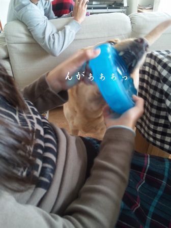 井上かなえオフィシャルブログ　「母ちゃんちの晩御飯とどたばた日記」Powered by Ameba