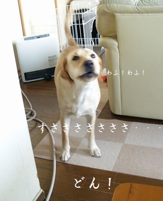 急発進でバック