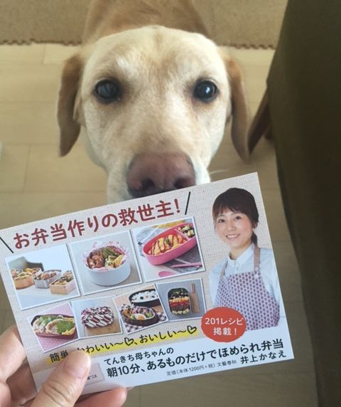 本日発売になります てんきち母ちゃんの朝10分 あるものだけでほめられ弁当 井上かなえオフィシャルブログ 母ちゃんちの晩御飯とどたばた日記 Powered By ライブドアブログ