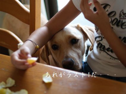 母ちゃんちの晩御飯とどたばた日記