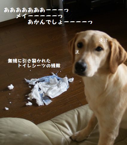 怪しい顔