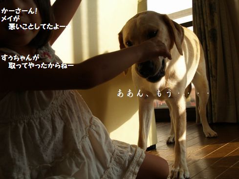母ちゃんちの晩御飯とどたばた日記-P9066053