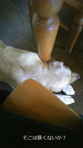 母ちゃんちの晩御飯とどたばた日記