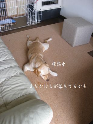おいしいもの