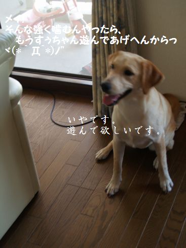 母ちゃんちの晩御飯とどたばた日記-P7254789