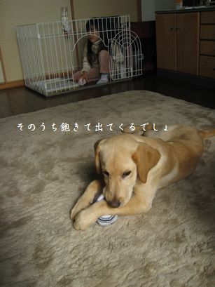 ゲージの中