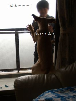 追いかけごっこ