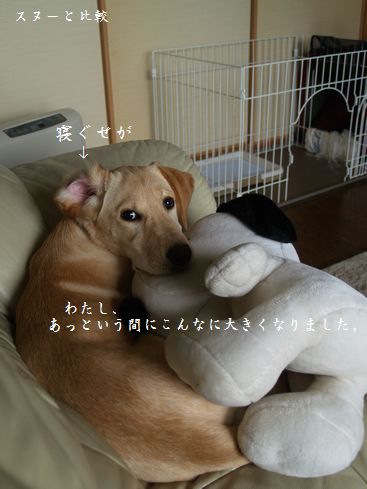 姉たちと一緒に