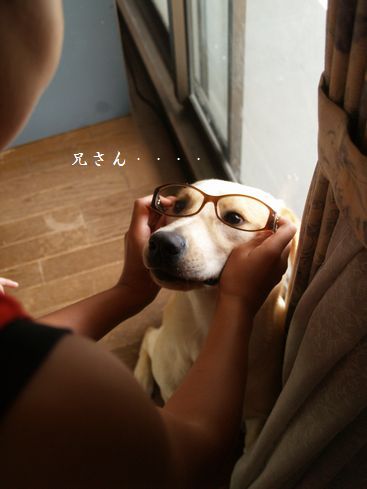 それ、お母さんのっ！