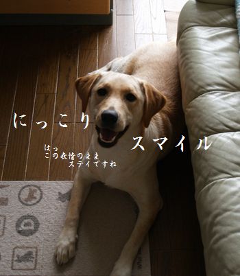 モデルさん