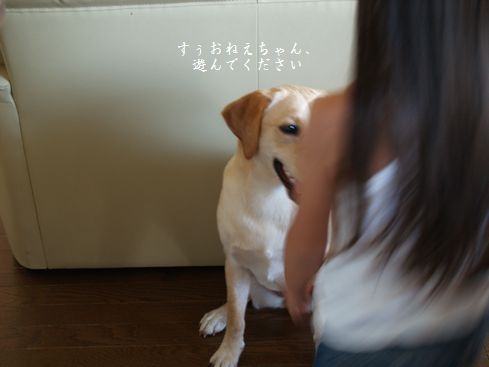 母ちゃんちの晩御飯とどたばた日記-P7254782