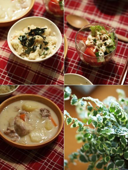 母ちゃんちの晩御飯とどたばた日記