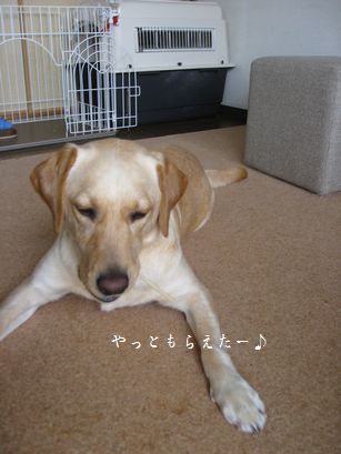 おいしいもの