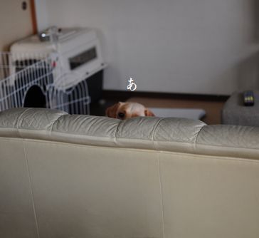 母ちゃんちの晩御飯とどたばた日記