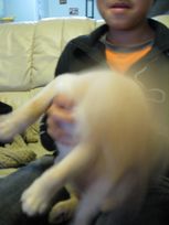 じっとできない~~1