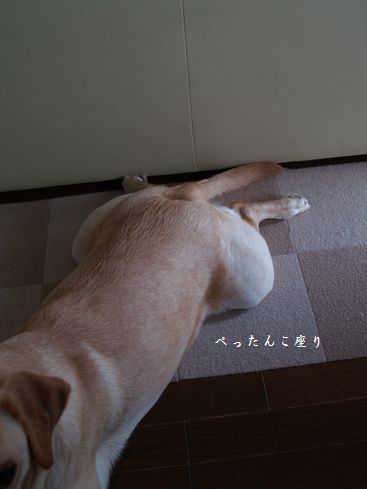 べべちゃんこって言わない?