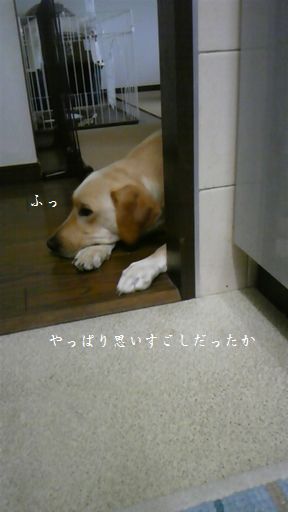 母ちゃんちの晩御飯とどたばた日記