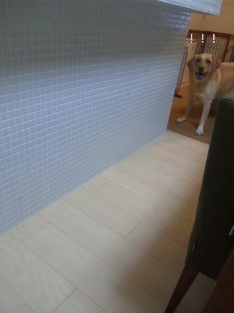 井上かなえオフィシャルブログ　「母ちゃんちの晩御飯とどたばた日記」Powered by Ameba