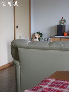 使用後